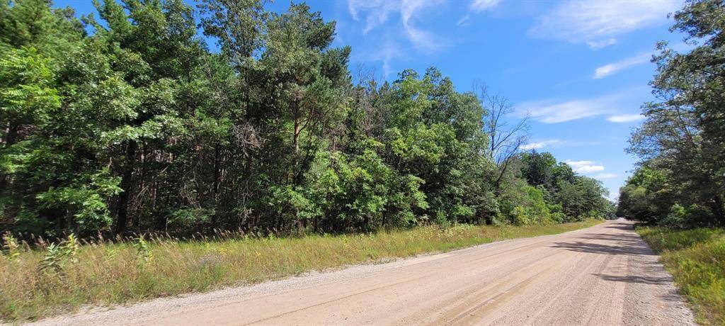 White Cloud, MI 49349,V/L Pine Hill