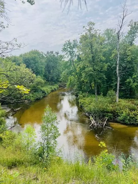 V/L E Winston, Greenwood Twp, MI 49421