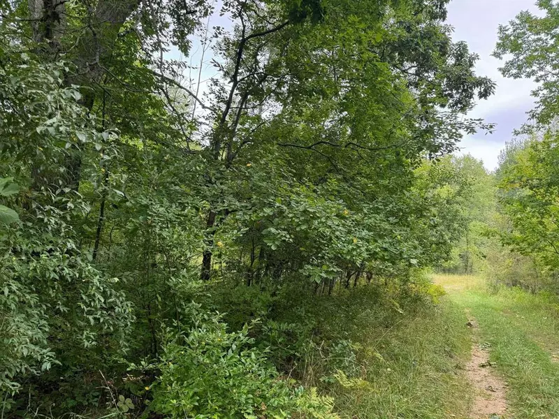 Pawnee Trail, Evart Twp, MI 49631