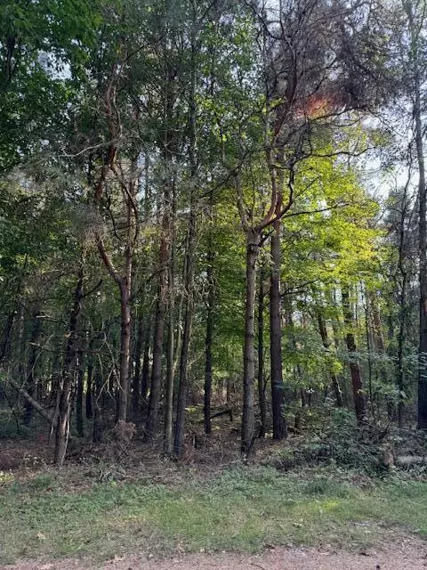Morton Twp, MI 49336,8091 Carriage Lane