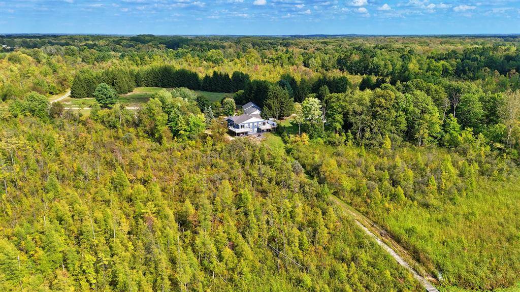 491 Bitter Creek Lane, Pierson Twp, MI 49339