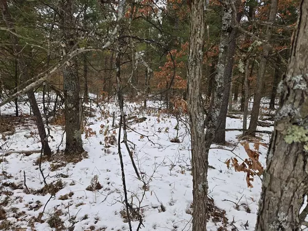 0 E 44th, Cherry Valley Twp, MI 49642