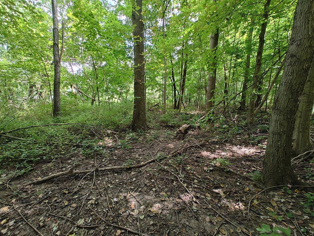 Benton Twp, MI 49022,VL Clinton Road