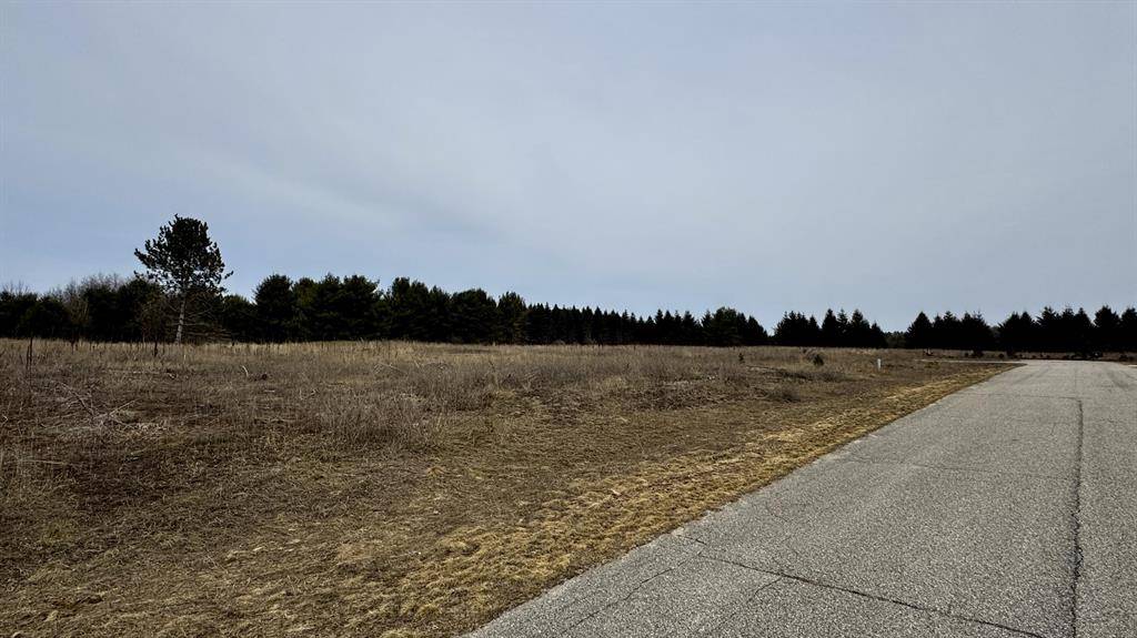 Cherry Grove Twp, MI 49601,Lot #19 Wedgewood Court