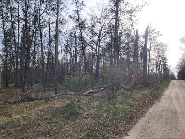 Pleasant Plains Twp, MI 49304,VL 56th Street