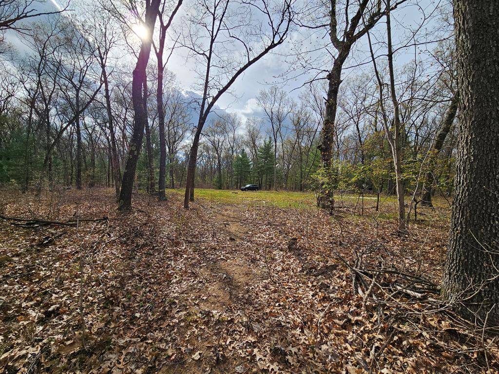 2602 E 88th Street,  Brooks Twp,  MI 49337