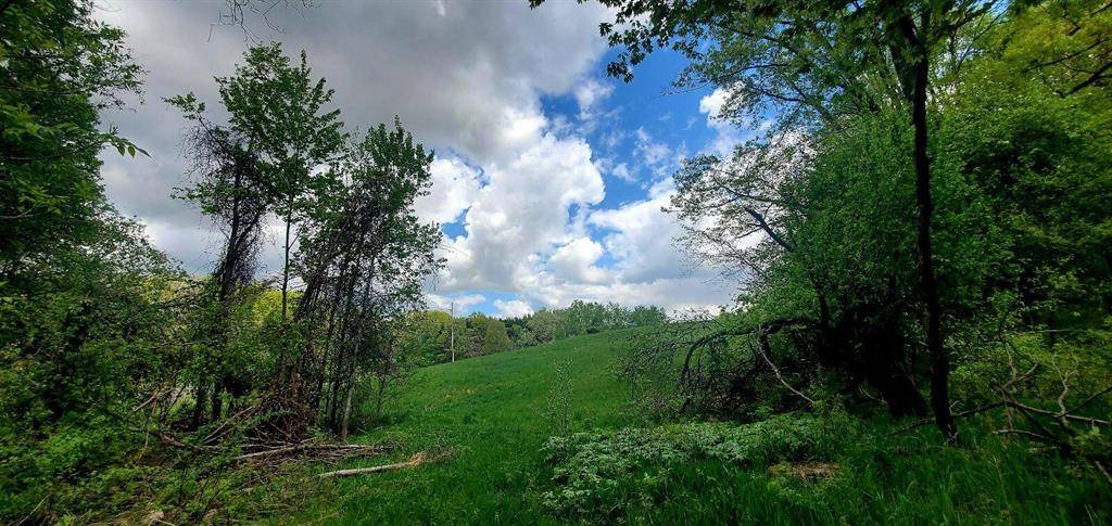 128th Street Modifier: Parcel A, Ensley Twp, MI 49343