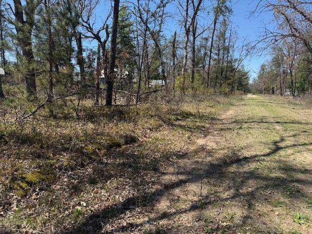 Yates Twp, MI 49642,VL Prarie Road