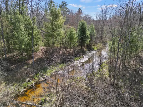 Branch Twp, MI 49410,00# N Benson Road