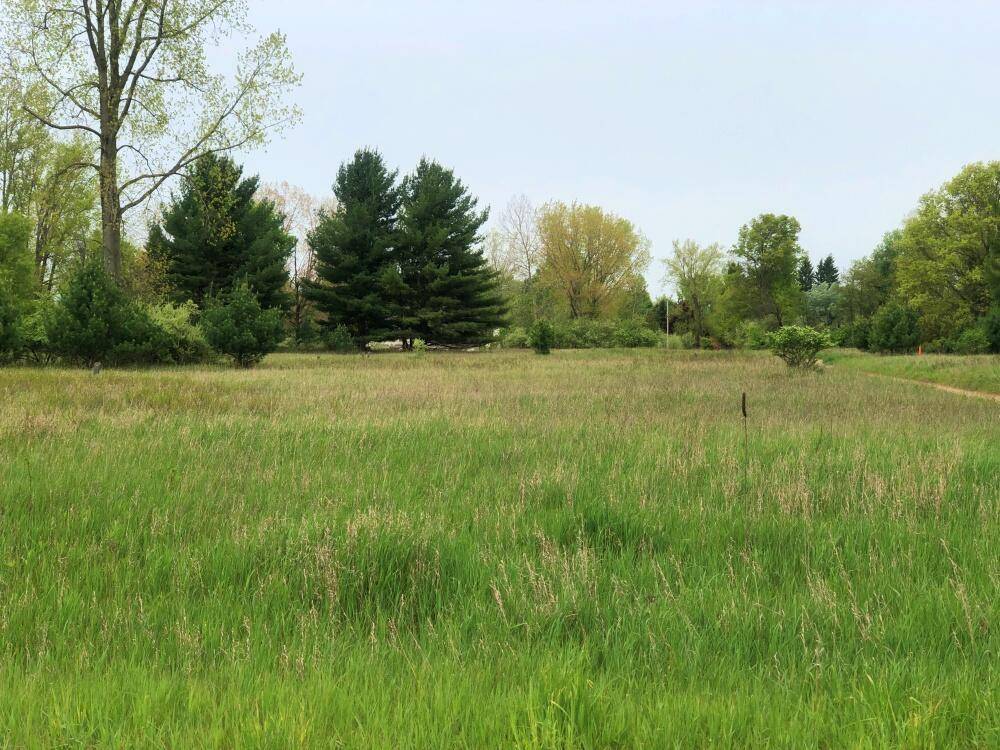 11493 Pierce Road 972, Morton Twp, MI 49346