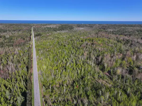 Harrisville Twp, MI 48740,V/L 60A E Walker Road