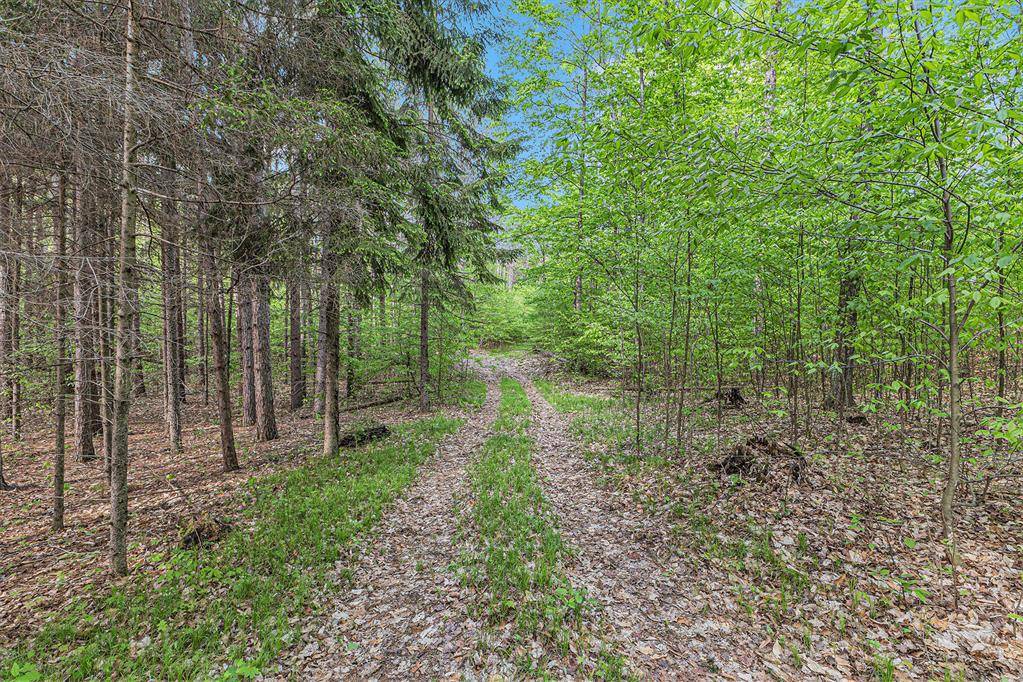 V/L E 8 Mile Rd, Dover Twp, MI 49656