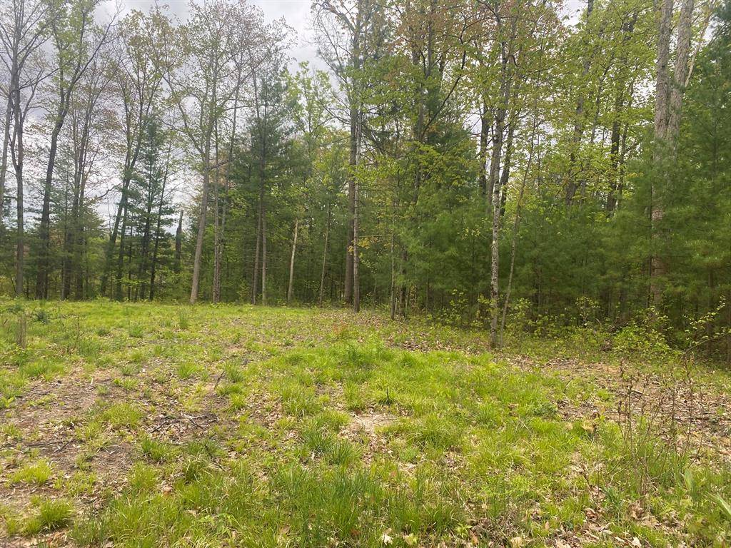 Pleasant Plains Twp, MI 49304,6032 S Whalen Lake Road