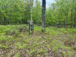 Lake Twp, MI 49304,9846 W Ox Path Street