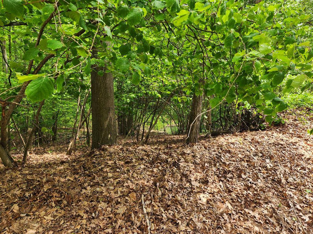 vl Pretty Lake Drive, Martiny Twp, MI 49332