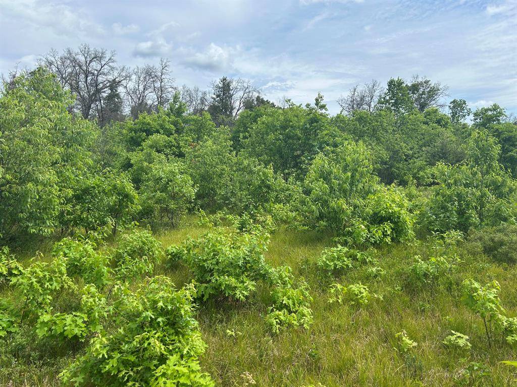 Cherry Valley Twp, MI 49642,V/L E 38th Street