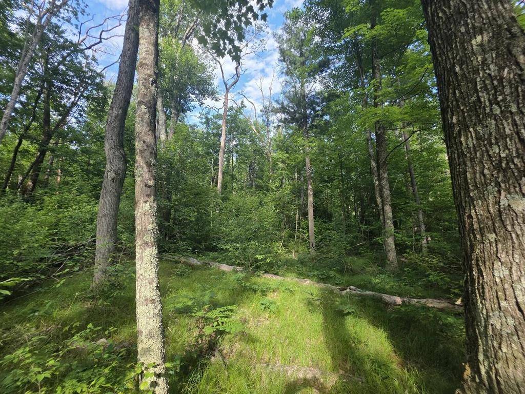 Michland Path Modifier: Parcel 031, Big Prairie Twp, MI 49349