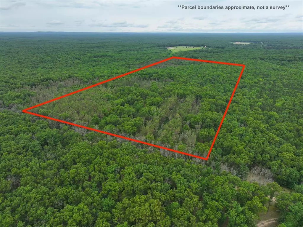 Elk Twp, MI 49644,7376 W 7 Mile Road
