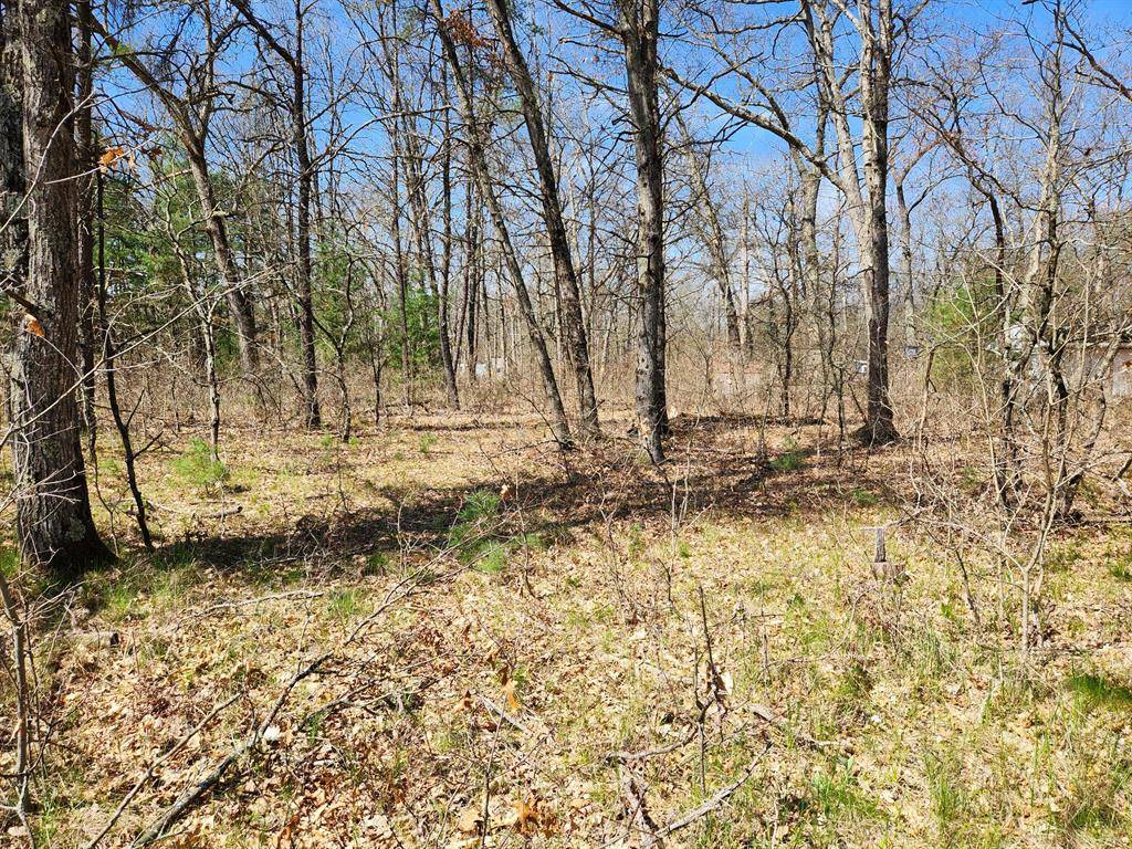 Webber Twp, MI 49304,TBD S Princeton Way Avenue