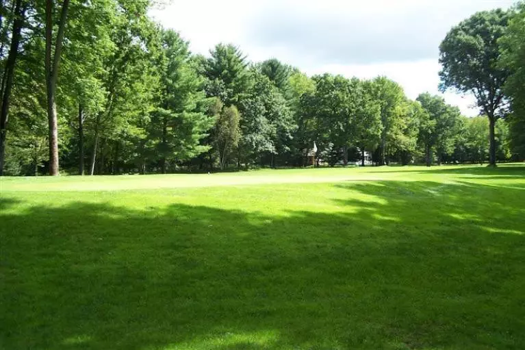 9406 Clubhouse Drive W 555, Morton Twp, MI 49346