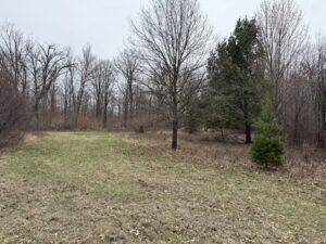 Orient Twp, MI 49679,00 4 Mile Road