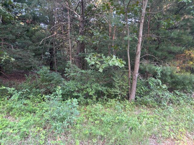 5472 Margaret Avenue, Croton Twp, MI 49337