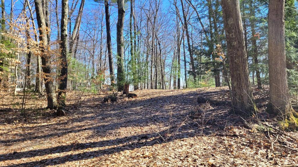 947 W Locust Street, Lincoln Twp, MI 49349