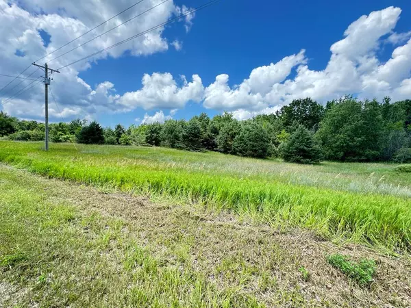4 acres E 48th Street, Pinora Twp, MI 49623