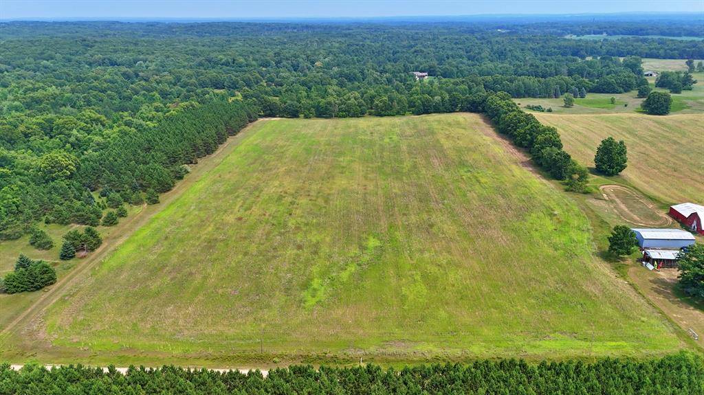 20+/- Acres 140th Avenue, Austin Twp, MI 49346