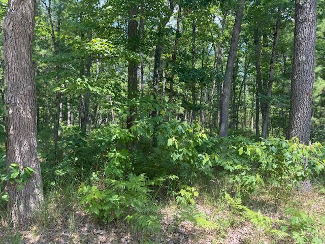 VL Cleveland Drive, Lilley Twp, MI 49309