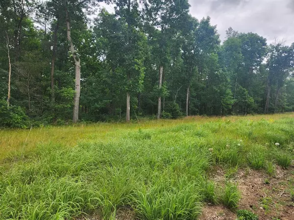 Webber Twp, MI 49304,Parcel D W 16th Street
