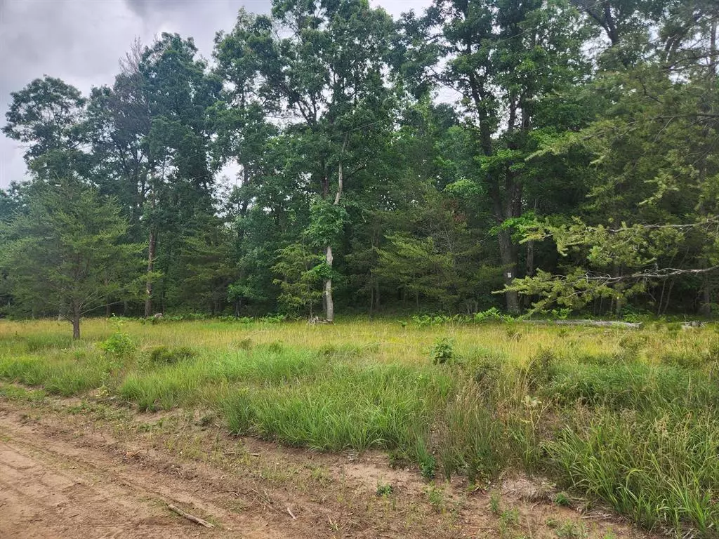 Webber Twp, MI 49304,Parcel B W 16th Street