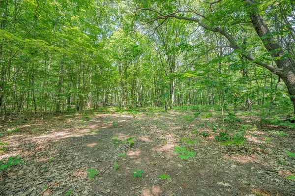 Grant Twp, MI 49639,V/L 120th Ave