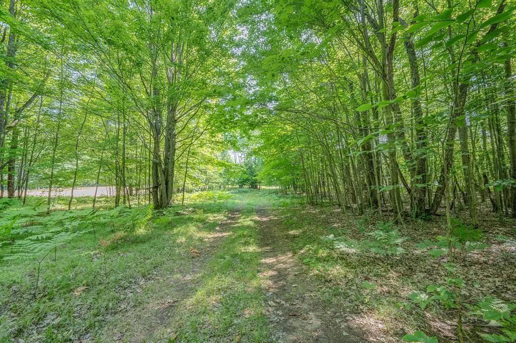 Grant Twp, MI 49639,V/L 120th Ave