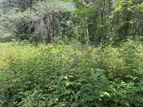 Lincoln Twp, MI 49677,v/l Old Rugged Lane