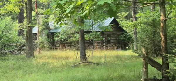 6132 S Croton Hardy Drive, Croton Twp, MI 49337