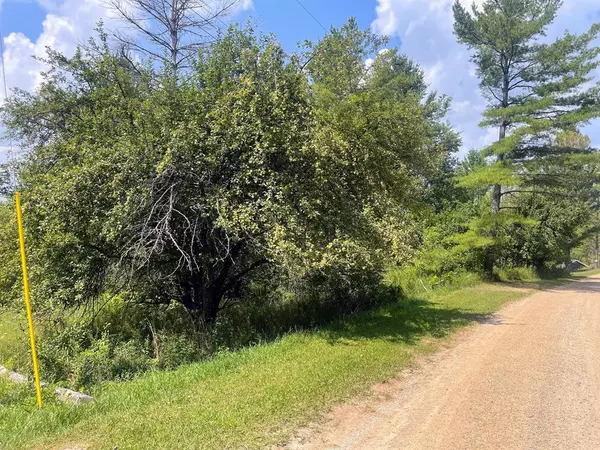 Evart Twp, MI 49631,8337 Lake Lure Drive Drive