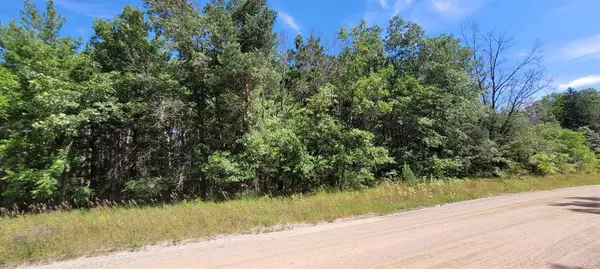 V/L Pine Hill Street, White Cloud, MI 49349
