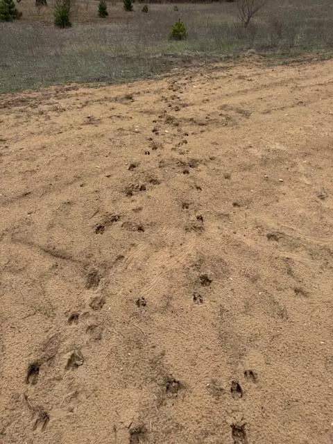 Barton Twp, MI 49338,28.36 Acres V/L Cypress Avenue