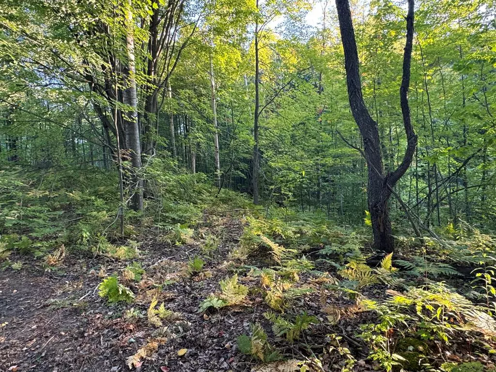 Rose Lake Twp, MI 49655,V/L 15 Mile Road