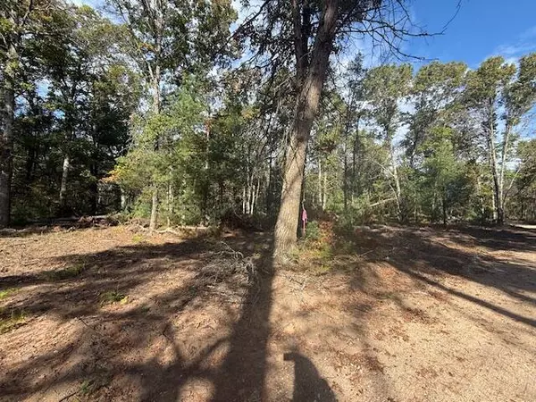 Webber Twp, MI 49304,Parcel B 16th Street