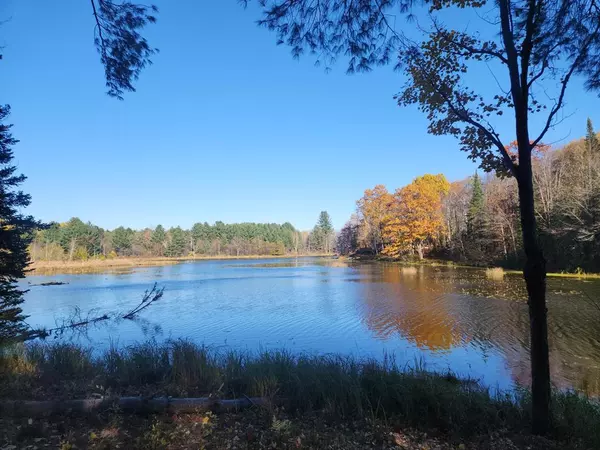 18948 Indian Lake Rd Road, Lincoln Twp, MI 49677