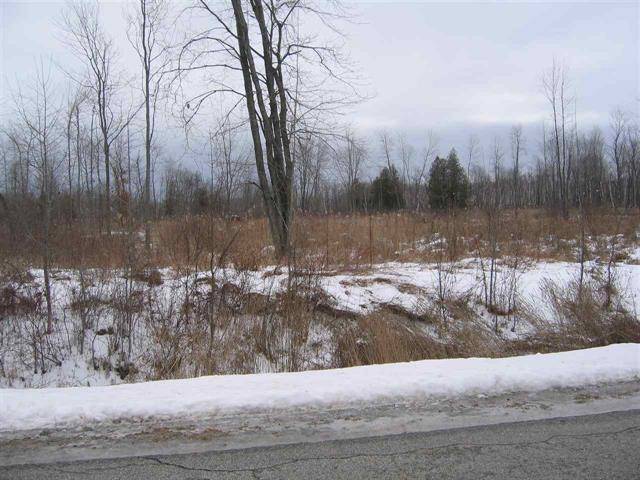 N/A Delano Road, Sims Twp, MI 48703