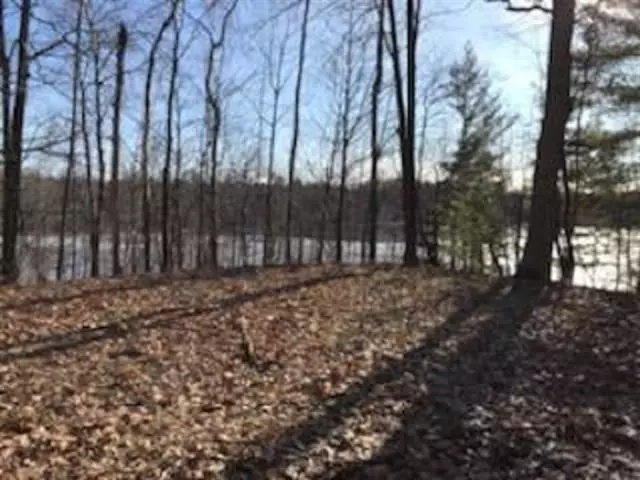 N/A Ringneck Trail Lot: 38, Moffatt Twp, MI 48610