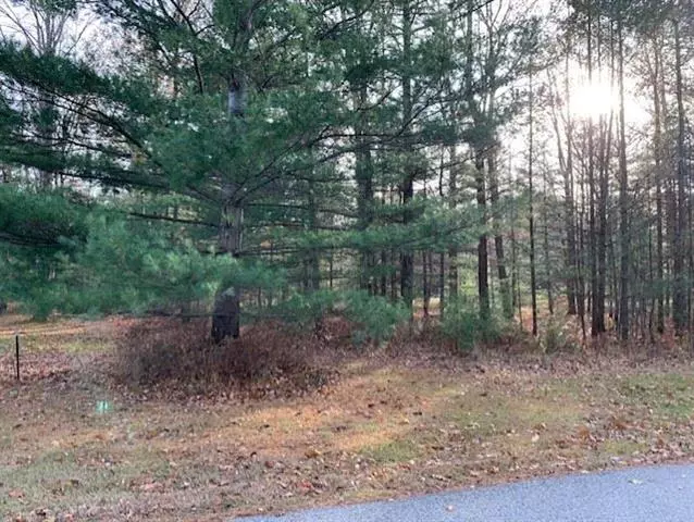 0 Schirmer Drive Lot: 17, Baldwin Twp, MI 48730