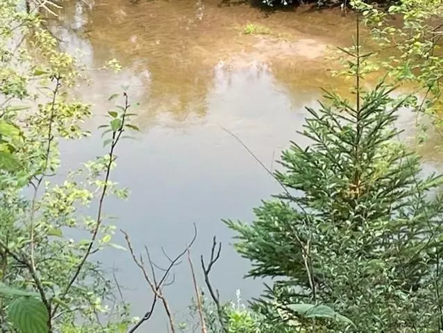 0 Waters Edge, Mills Twp, MI 48756