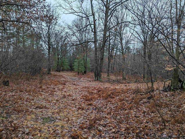 2002 Klender,  Grim Twp,  MI 48613
