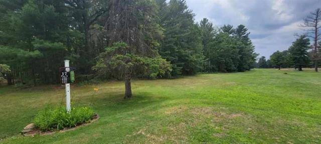 Denton Twp, MI 48651,XXX White Deer Trail Lot 19