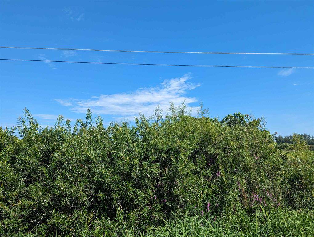0 S Court Street Lot: 3, Au Gres Twp, MI 48703