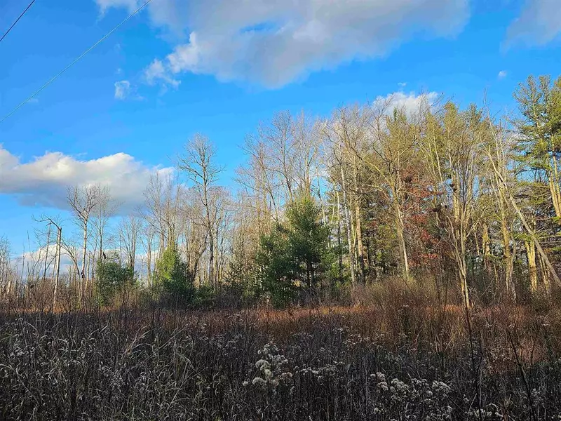 v/l Whittemore Road, Sherman Twp, MI 48748